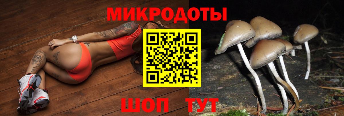 Галлюциногенные грибы MAGIC MUSHROOMS  Псилоцибиновые грибы GOLDEN TEACHER  Нурлат  Вход с VPN 